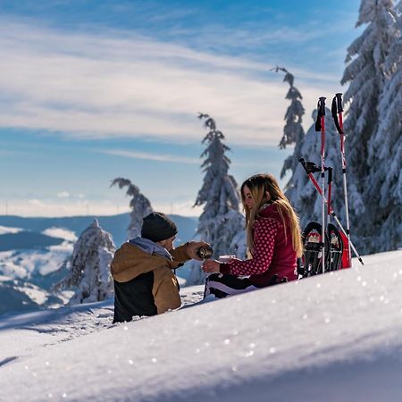 Schwarzwaldhorst 1 Fuer 8 Gaeste In Todtnau, Liftverbund Feldberg Εξωτερικό φωτογραφία