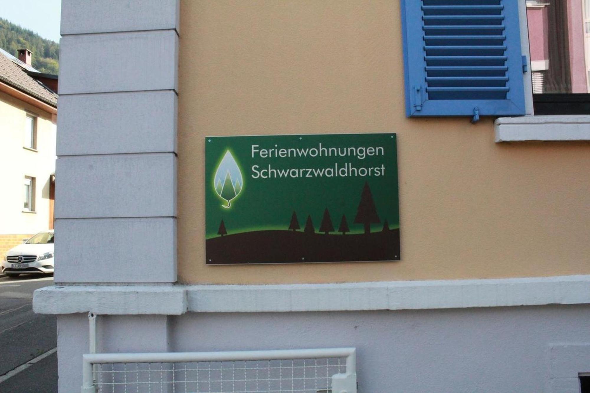 Schwarzwaldhorst 1 Fuer 8 Gaeste In Todtnau, Liftverbund Feldberg Εξωτερικό φωτογραφία